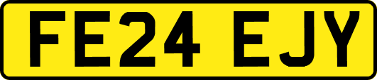FE24EJY