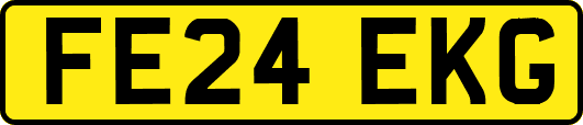 FE24EKG