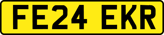 FE24EKR