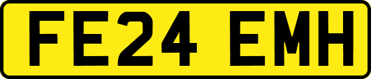 FE24EMH
