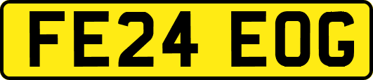 FE24EOG