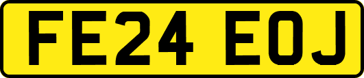 FE24EOJ