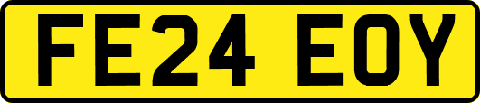 FE24EOY