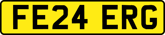 FE24ERG