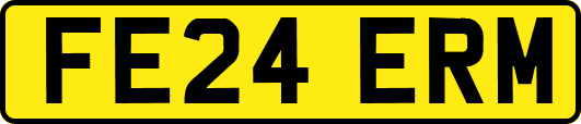 FE24ERM