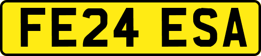 FE24ESA