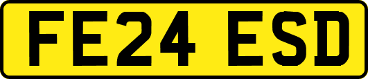 FE24ESD