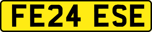 FE24ESE