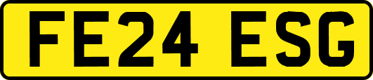 FE24ESG