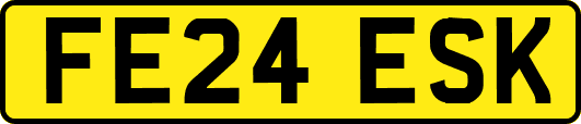 FE24ESK