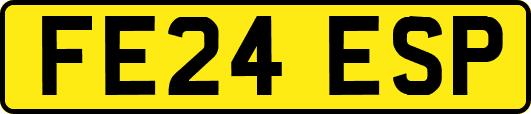 FE24ESP