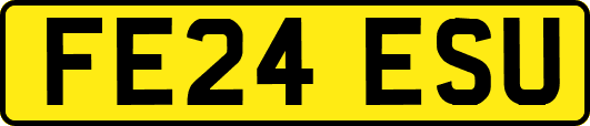 FE24ESU