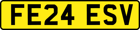 FE24ESV