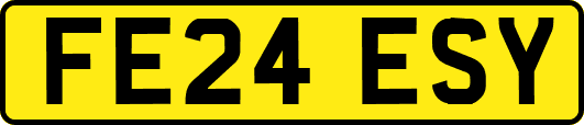 FE24ESY