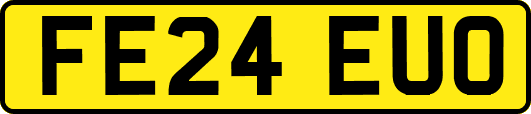 FE24EUO