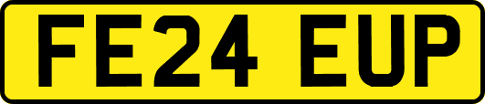 FE24EUP