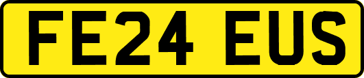 FE24EUS