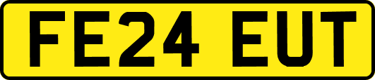 FE24EUT
