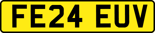 FE24EUV