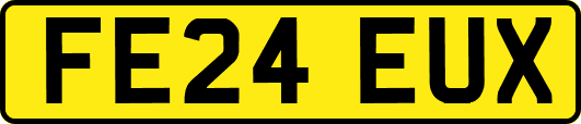 FE24EUX