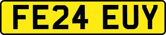 FE24EUY