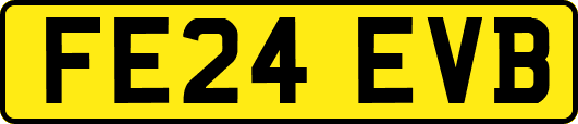 FE24EVB