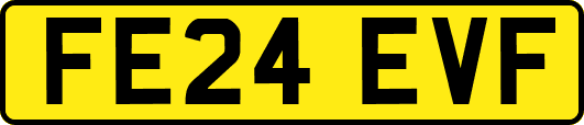 FE24EVF