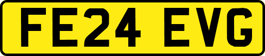 FE24EVG