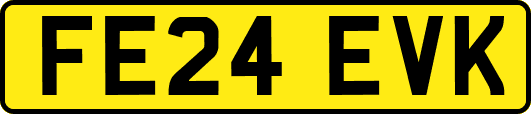FE24EVK