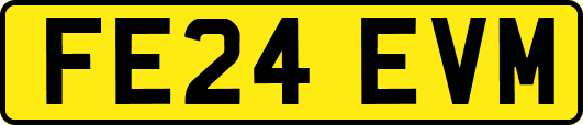 FE24EVM