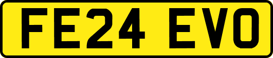 FE24EVO