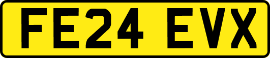 FE24EVX