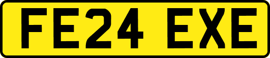 FE24EXE