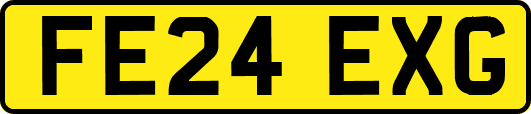 FE24EXG