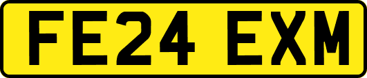FE24EXM