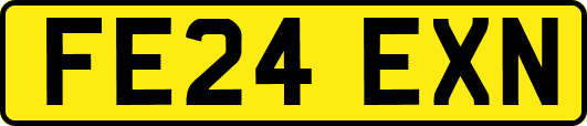 FE24EXN