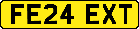 FE24EXT