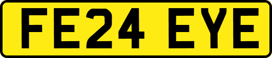 FE24EYE