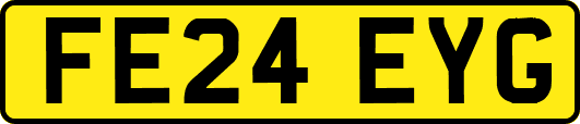 FE24EYG