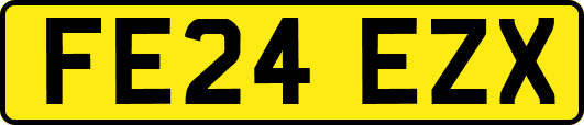 FE24EZX