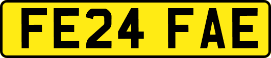 FE24FAE