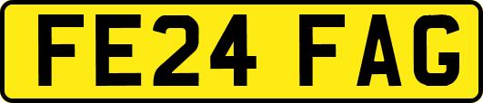 FE24FAG