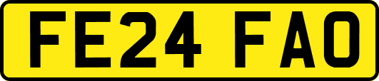 FE24FAO