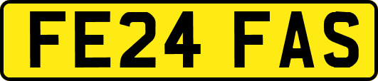 FE24FAS