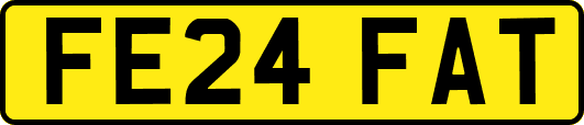 FE24FAT