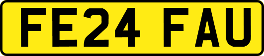 FE24FAU