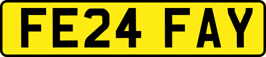 FE24FAY