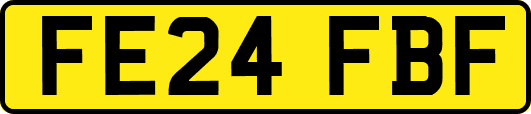 FE24FBF