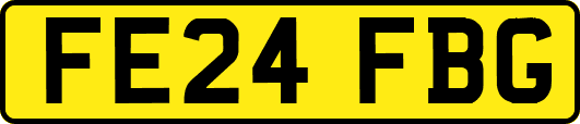 FE24FBG
