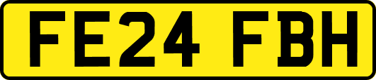FE24FBH
